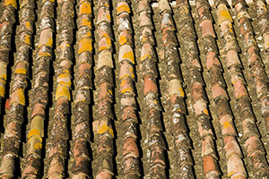 mossy-tile-roof