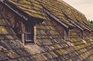 Shingle roof repair in mesa