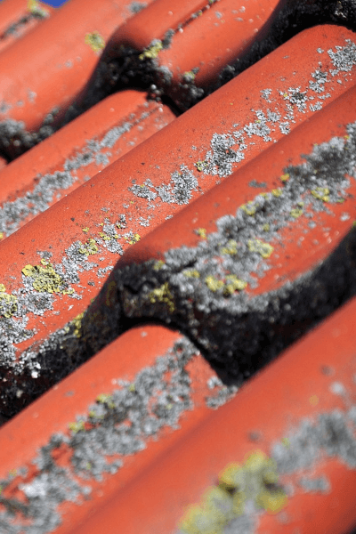 Inspecting Tile Roof in Phoenix, Arizona