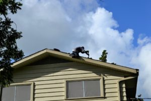 How to Safely Inspect Your Tile Roof in Phoenix, Arizona