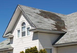 Why You Should Have Your Roof Inspected