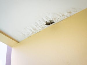 Why You Should Have Your Roof Inspected