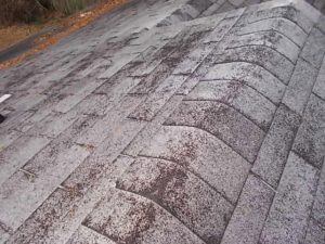 Best Time of Year to Have a Roof Replaced in Phoenix