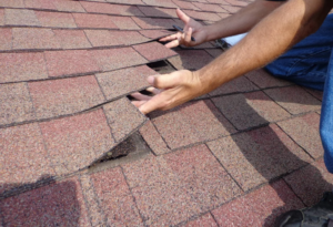 Standard Tile Roof Inspection