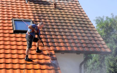 Effective Tips on How to Properly Maintain a Tile Roof