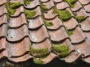 Properly Maintain a Tile Roof