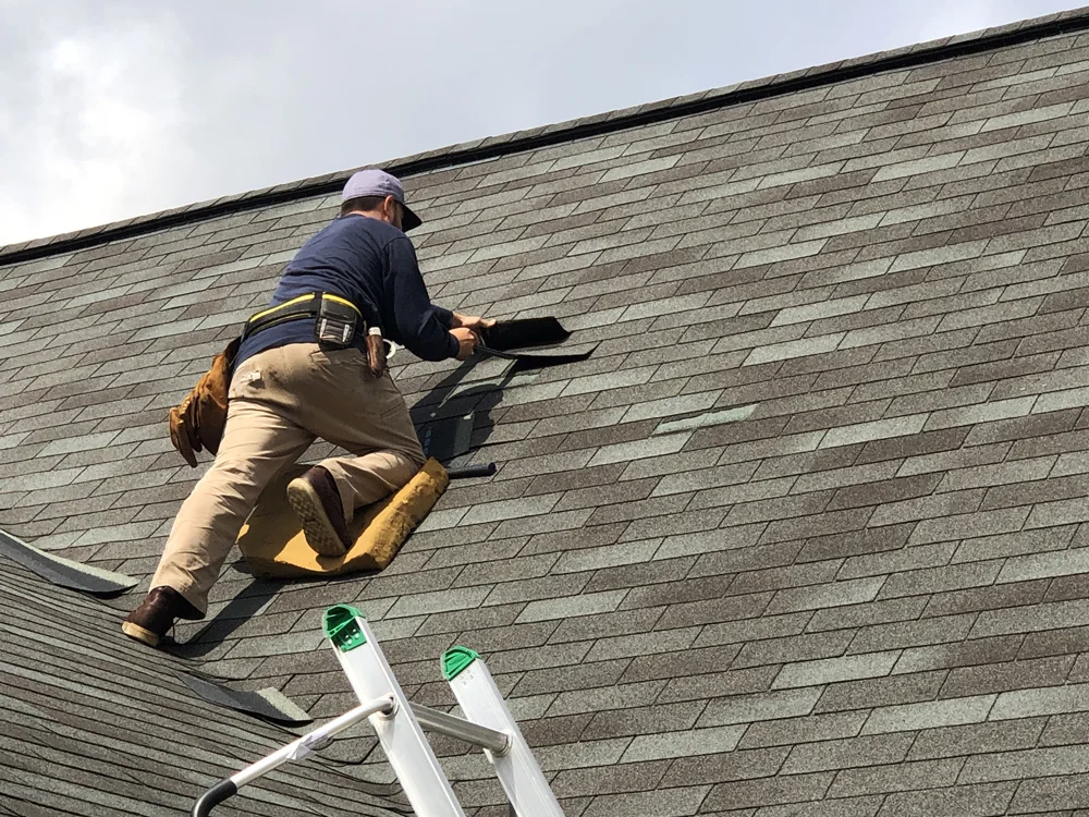 Asphalt Roof Shingles