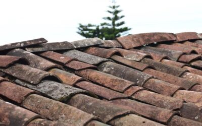 Roofing 101 for Homeowners by Shingle Roofing Services in Phoenix