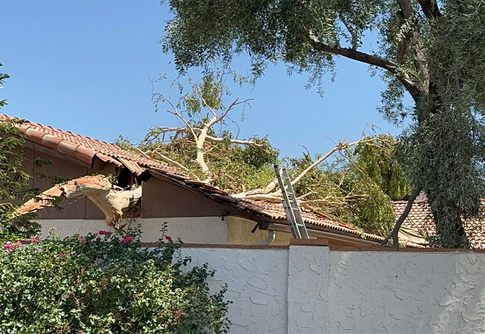 Mesa Roofer After Roof Damage from a Storm