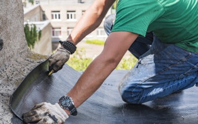 TPO Roofing for Chandler Businesses: Is It Worth It?