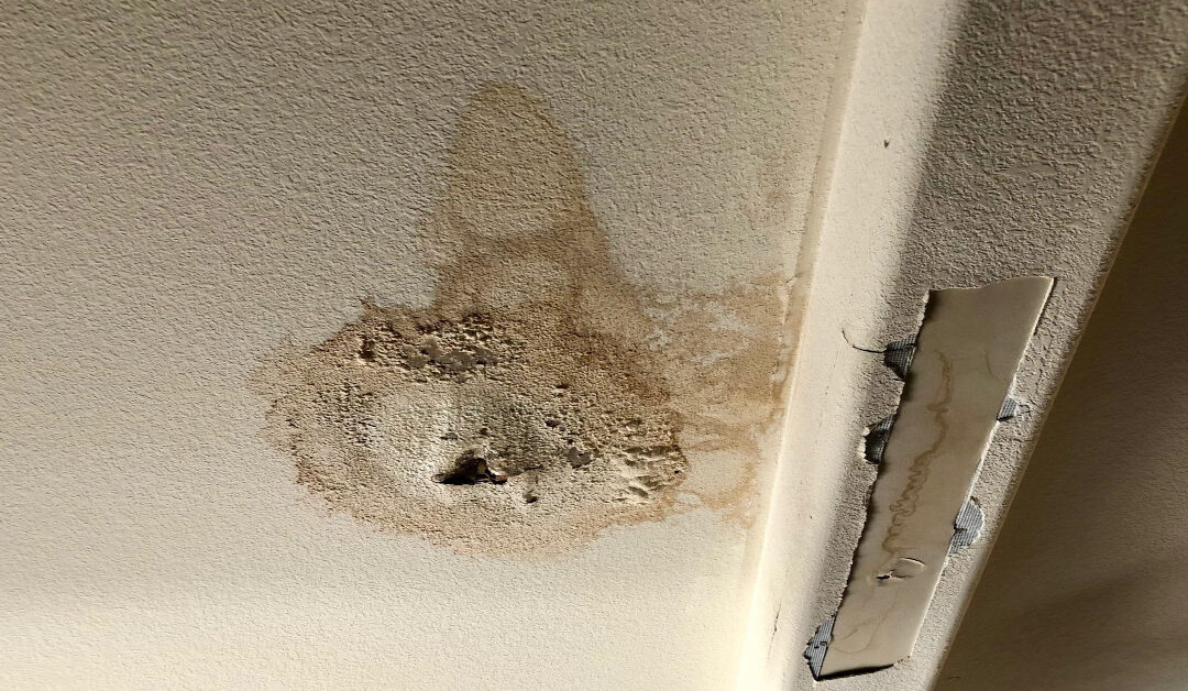 Top 5 Signs Your Phoenix Roof Has Monsoon Damage