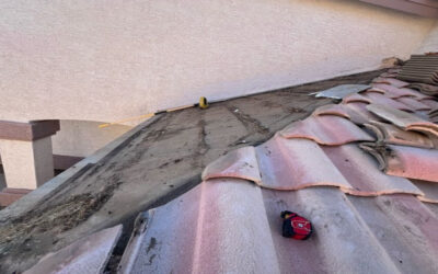 Why Attic Ventilation is Key to a Cool Phoenix Home