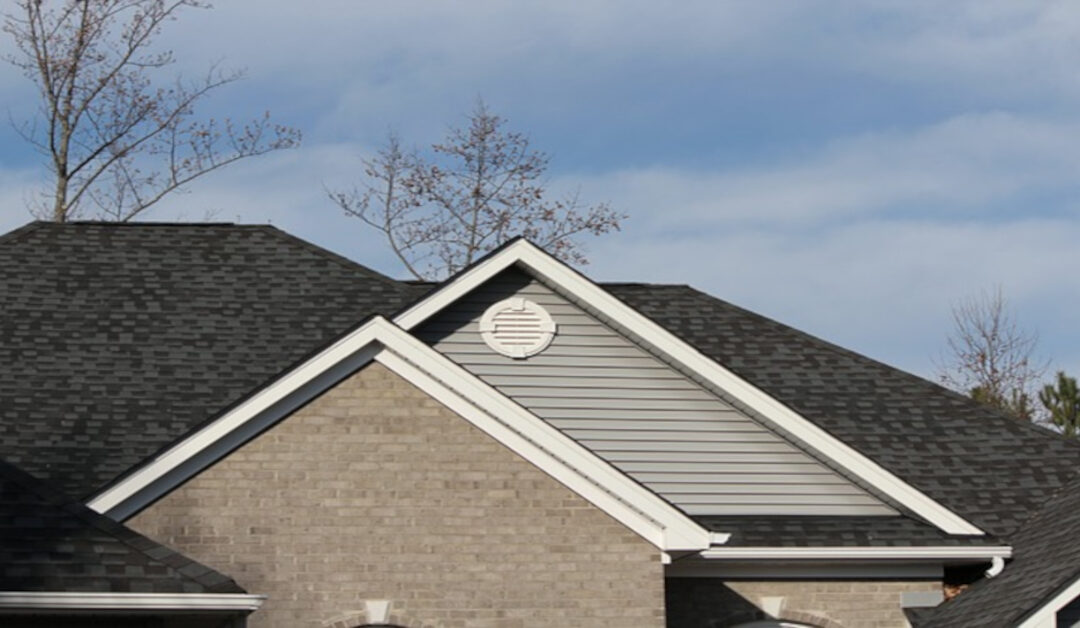 The Pros and Cons of Clay vs. Concrete Tiles